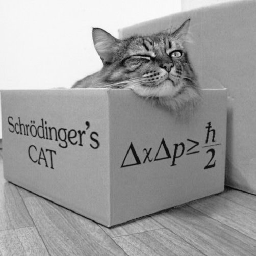 D_mhet's tweet photo. Me siento como el gato de Schrödinger antes del miércoles, y el colapso de superposición de estados es la PIS de SCRDR.
#Schrödingercat #cardiovascular #respiratorio #2domedicina #examen #estudiar https://t.co/rx6sRnSsDR