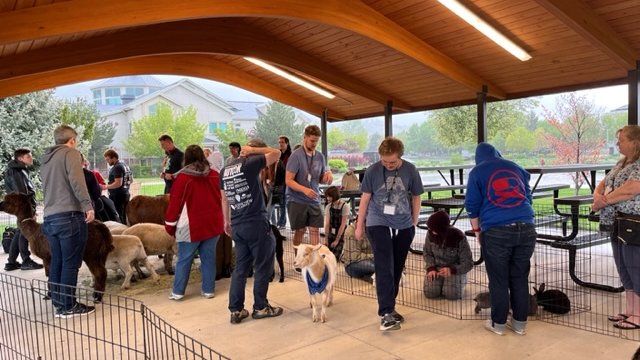 AutConSVA's tweet photo. Petting Zoo! #AutCon2023 https://t.co/AjEEkKAO12