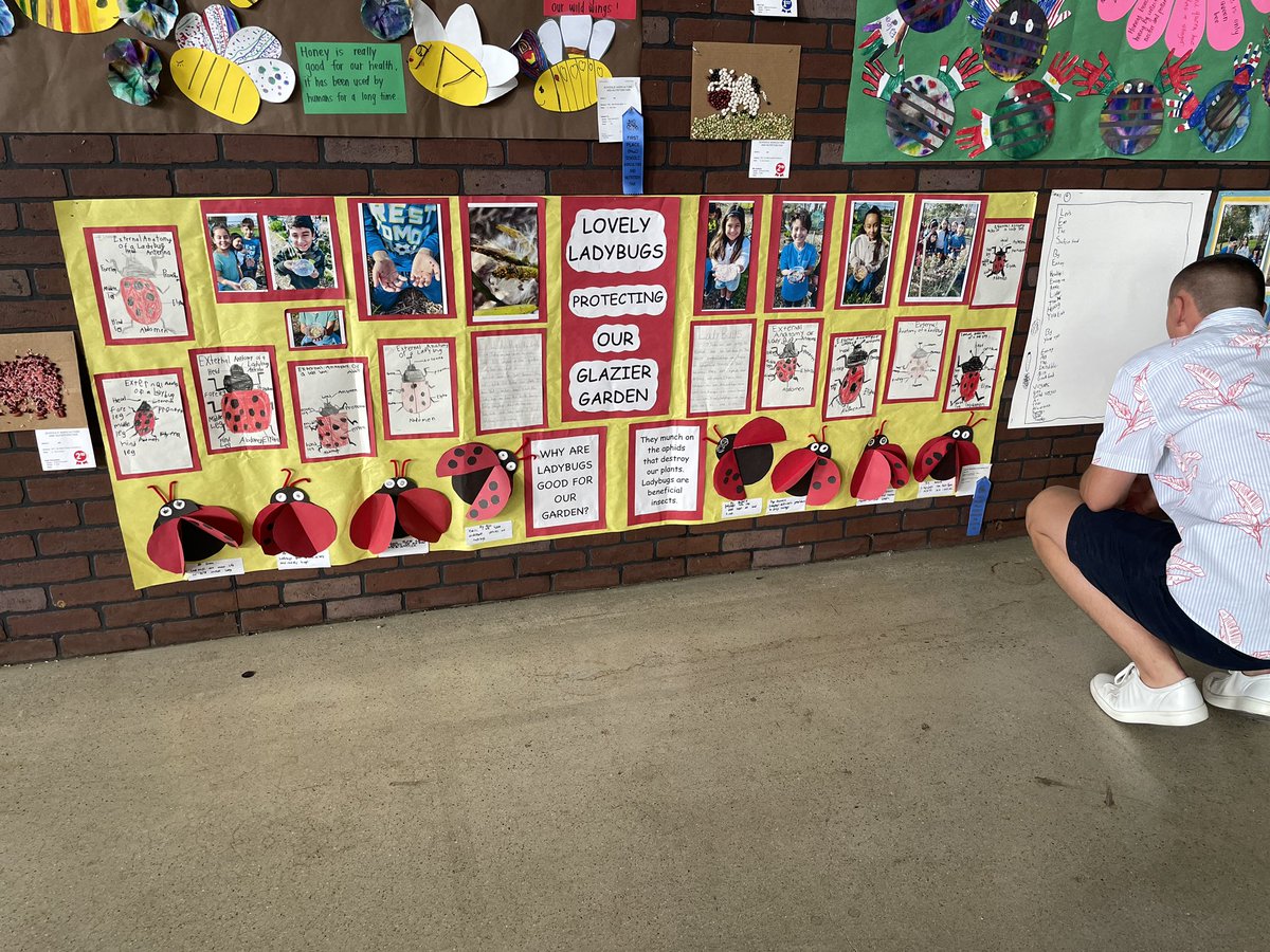 KKatayama-Johnson tweet media