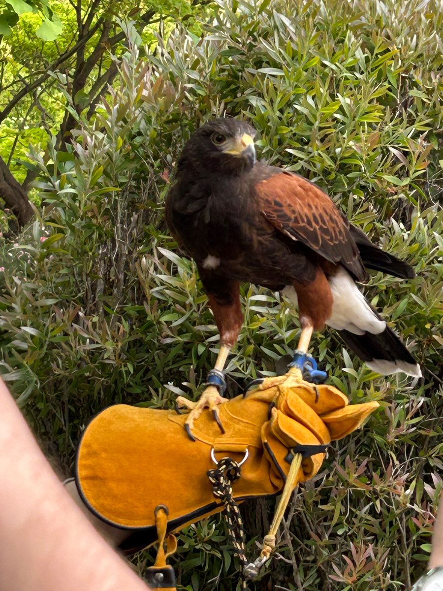 zanaroo123 tweet media