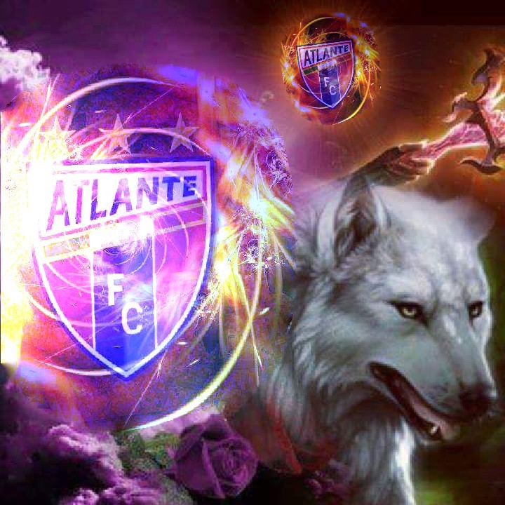 Lo he dicho demasiadas  veces pierdas o ganes estoy contigo y esperamos al campeón para el campeón de campeones. #siemprepotro #azulgranaforever