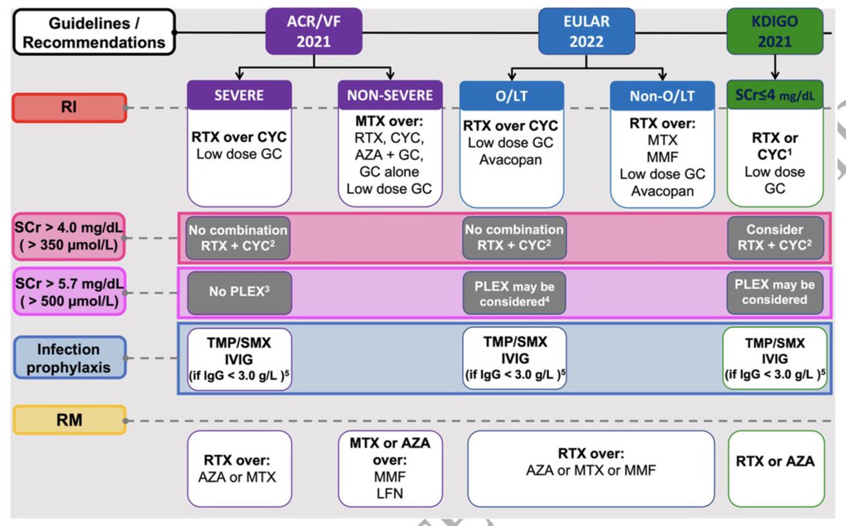 Edgar V. Lerma π΅π (@edgarvlermamd) on Twitter photo Management of anti-neutrophil cytoplasmic antibody (ANCA) associated vasculitis (AAV) w/ glomerulonephritis as proposed by the <a href="/ACRheum/">American College of Rheumatology</a> 2021, <a href="/eular_org/">EULAR</a> org 2022 & <a href="/goKDIGO/">KDIGO</a> 2021 Guidelines/ Recommendations ca. 2023 #Nephpearls
ππΌ pubmed.ncbi.nlm.nih.gov/37164940/ Management of anti-neutrophil cytoplasmic antibody (ANCA) associated vasculitis (AAV) w/ glomerulonephritis as proposed by the <a href="/ACRheum/">American College of Rheumatology</a> 2021, <a href="/eular_org/">EULAR</a> org 2022 & <a href="/goKDIGO/">KDIGO</a> 2021 Guidelines/ Recommendations ca. 2023 #Nephpearls
ππΌ pubmed.ncbi.nlm.nih.gov/37164940/