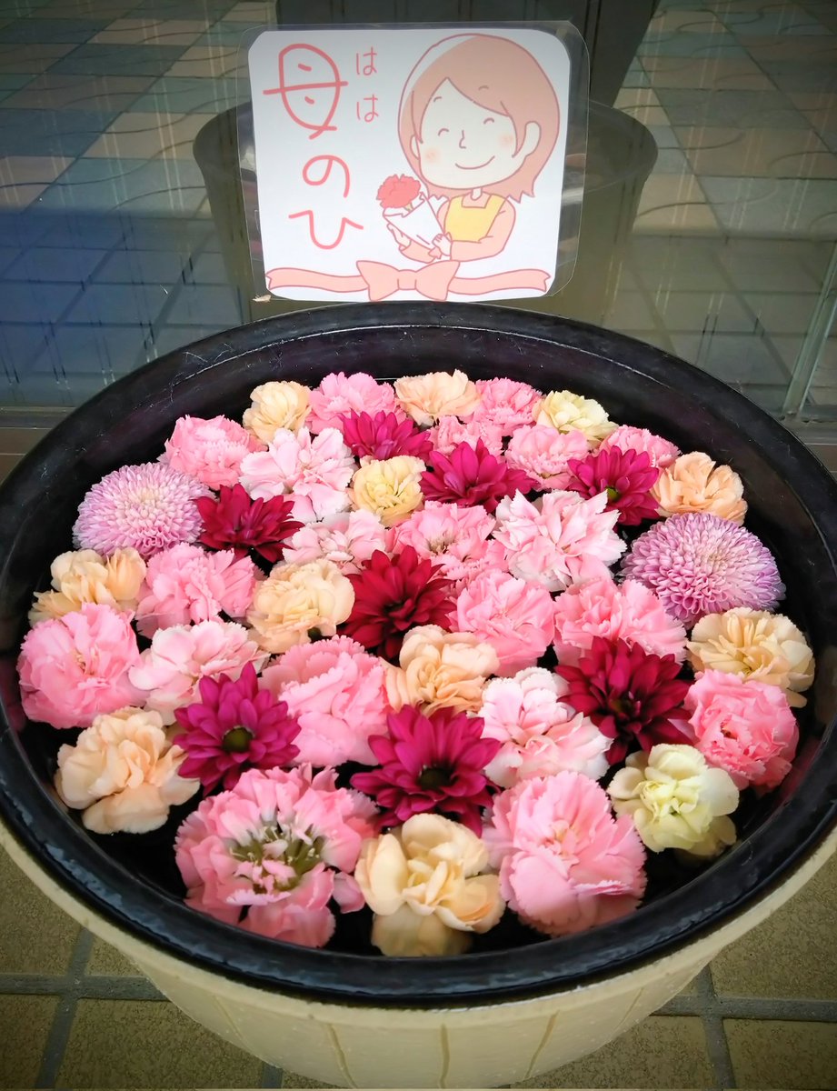 5月14日［sun］Mother’s day  ꕤ୭*
#母の日 

花手水  (レストラン ･ ミヨシ)  行田市