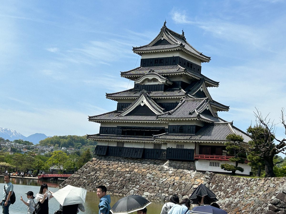 zanaroo123 tweet media