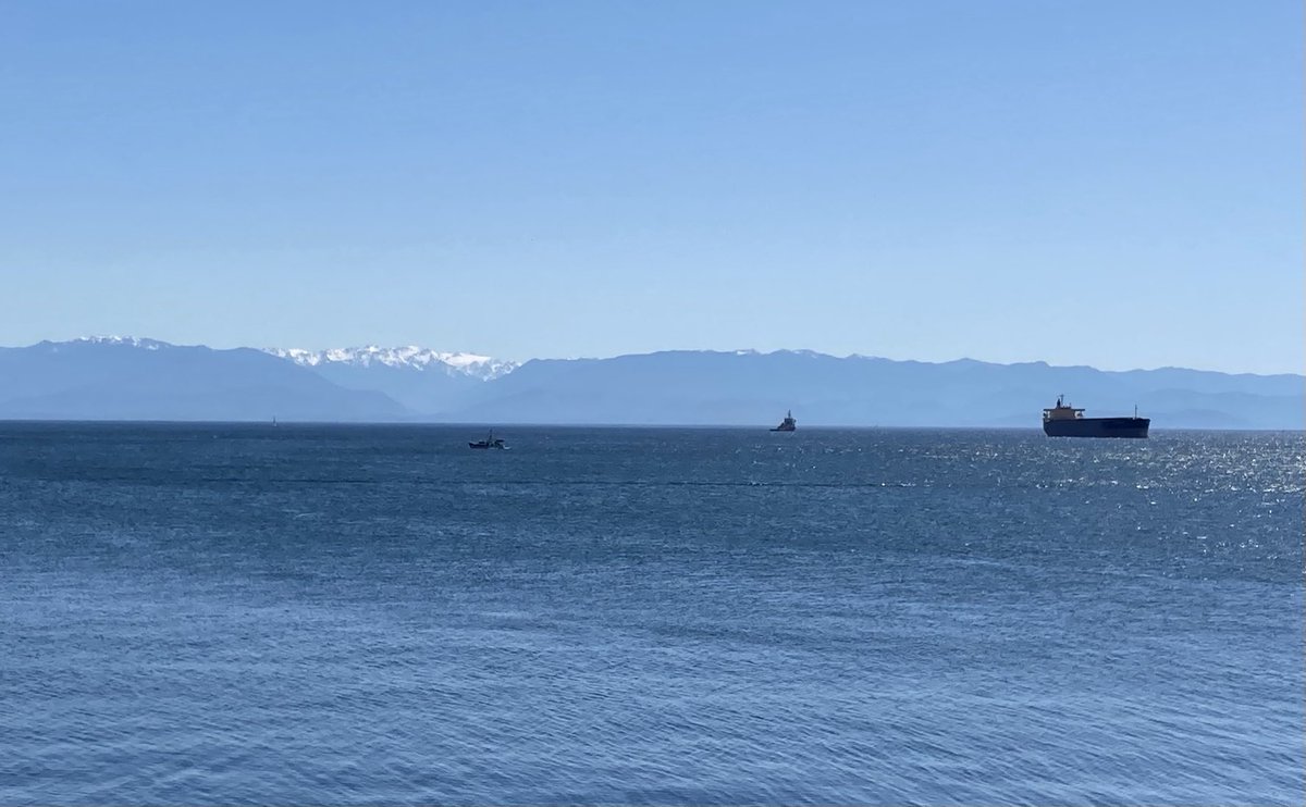 Jeremy Rayner tweet media