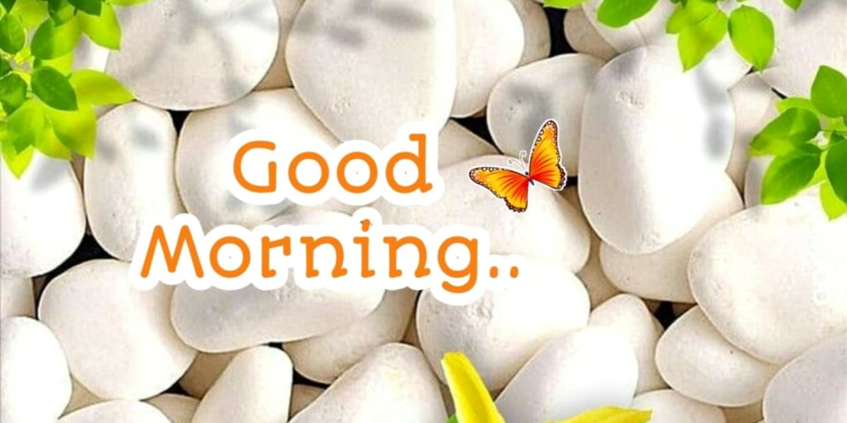 HousienNazeeeh's tweet photo. Sometimes we receive some words from someone as a medicine to calm the soul and return the heartbeat to its natural regularity...
#Morning_calm and peace of mind...
#N_H🖋️ https://t.co/zTJpD2O3Ja