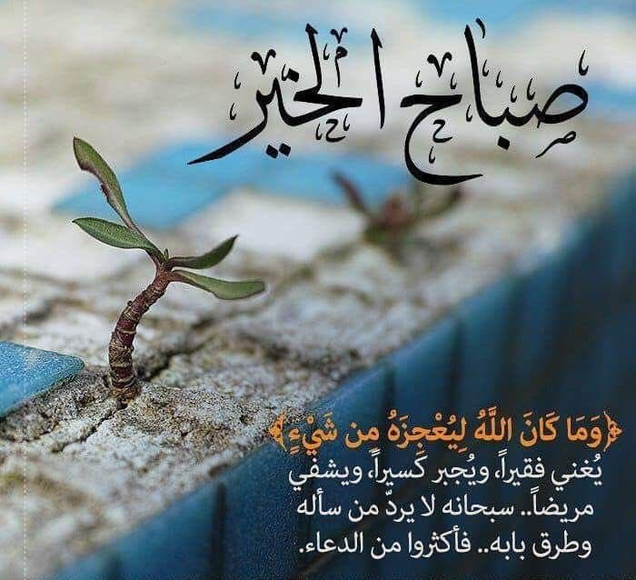 noorfapo's tweet photo. https://t.co/ljdhaCVJEi