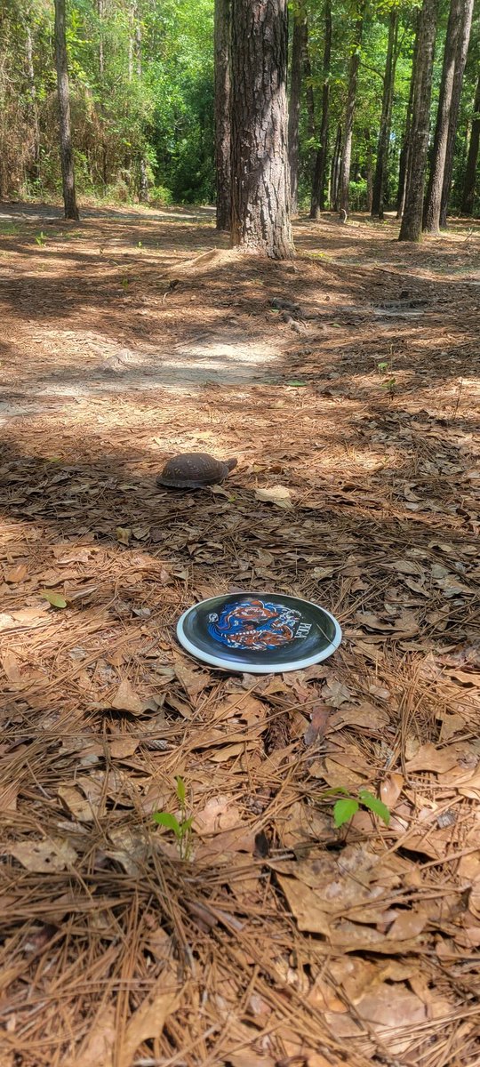 originaltiming's tweet photo. Today was the type of game you build on. I played my first tournament out of state at a course I only played once. 

Ended up shooting -11 down for the day with a tie for 4th out of 33 players in MA3. Had 4 near aces. 

#justkeepthrowing #discgolflife https://t.co/H6IkqI4T2B