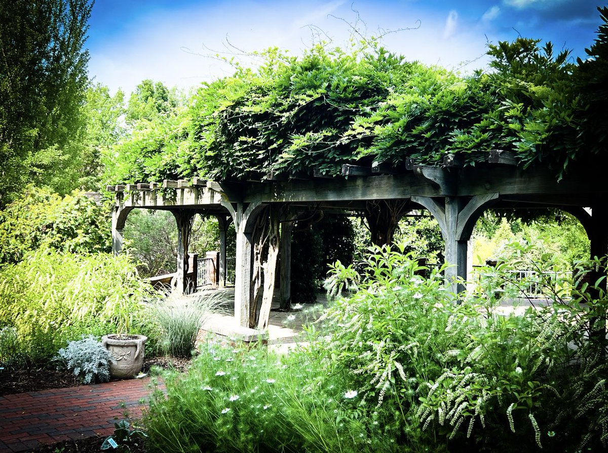 aagordonphotos's tweet image. #promshoot #amazingaagphotography #photography #tanglewood #arboretum #spring #springtime