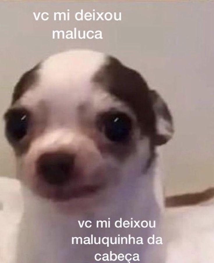 ★ 𝗗.𝗭𝗶𝗮 - deu moved (@5secondsforlove) on Twitter photo 