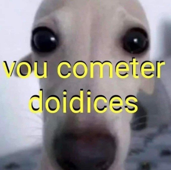 Não aguento mais estar longe do meu amor, vou ficar endoidada