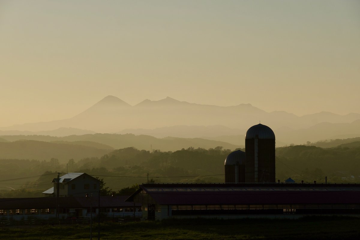 herokey turkay tweet media