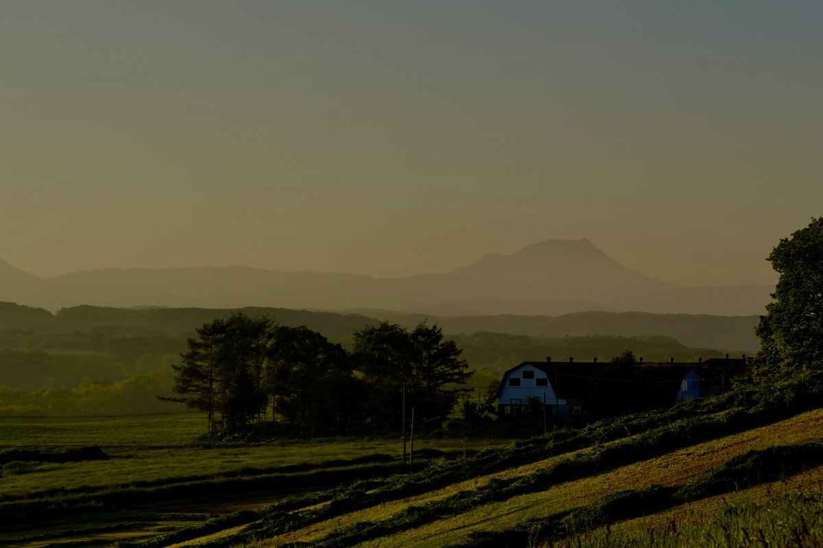 herokey turkay tweet media