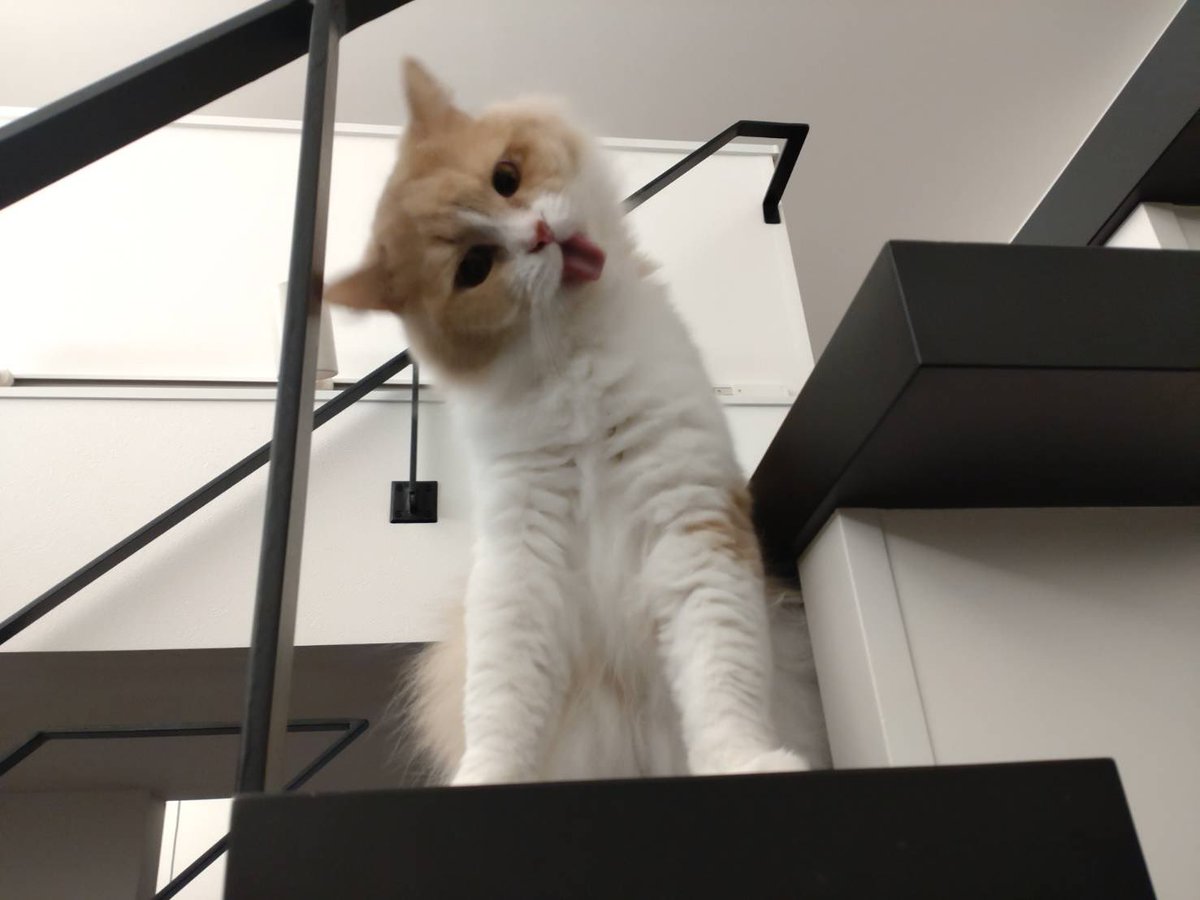 出勤中！本日は元気バリバリでござい