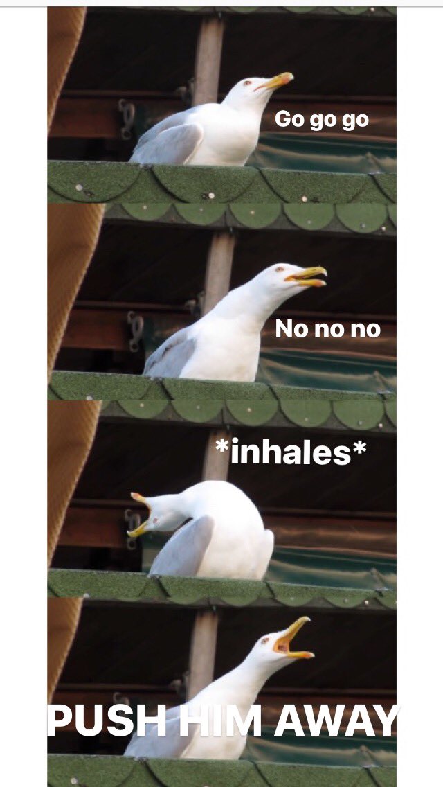 Tonight the ‘gulls made it!