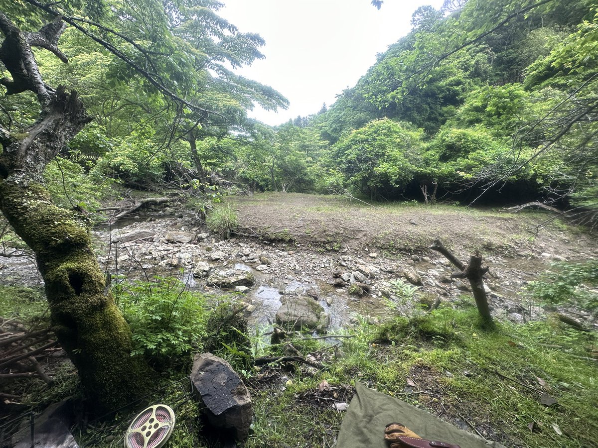 gowacaex's tweet photo. 久しぶりにキャンプ行ってました⛺️野営ぽいキャンプ場。場所も良かった！ただヒルがめっちゃいた。。。 https://t.co/BTS9uVKvmA