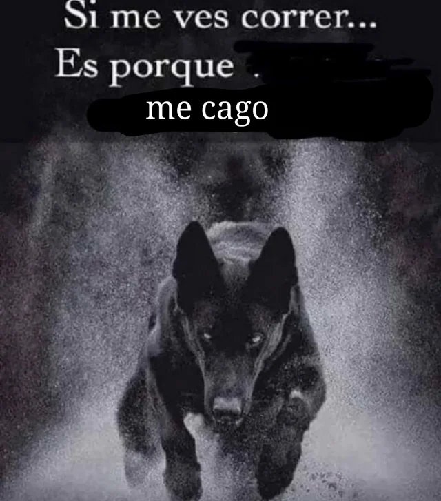 <a href="/QuimeyHerrera01/">Quimey Herrera</a>