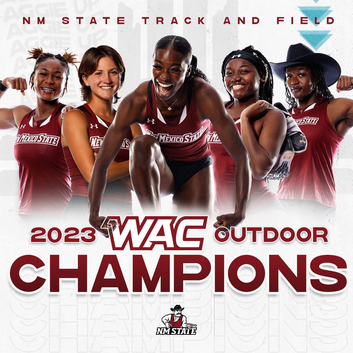 NM State XC/T&F tweet media