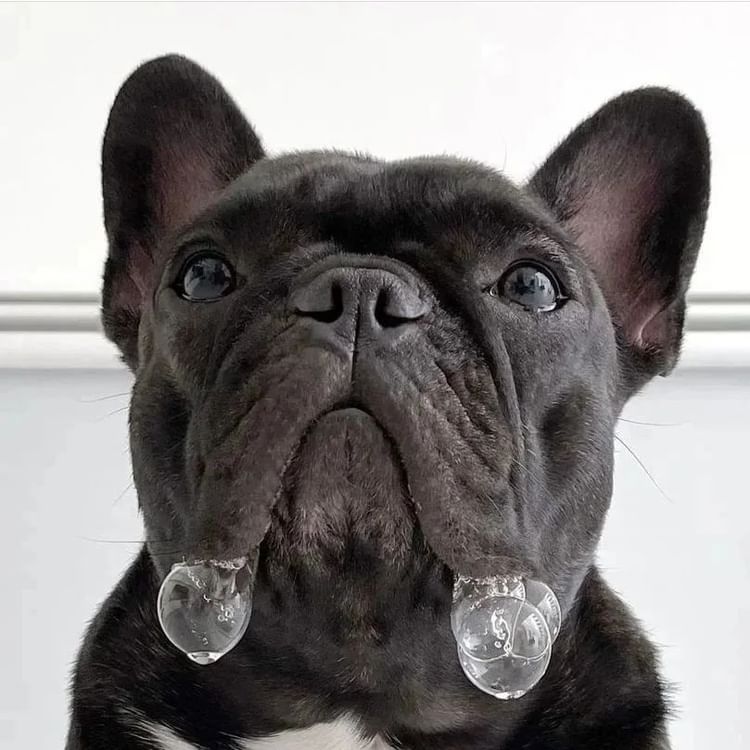 What's for dinner? 😍