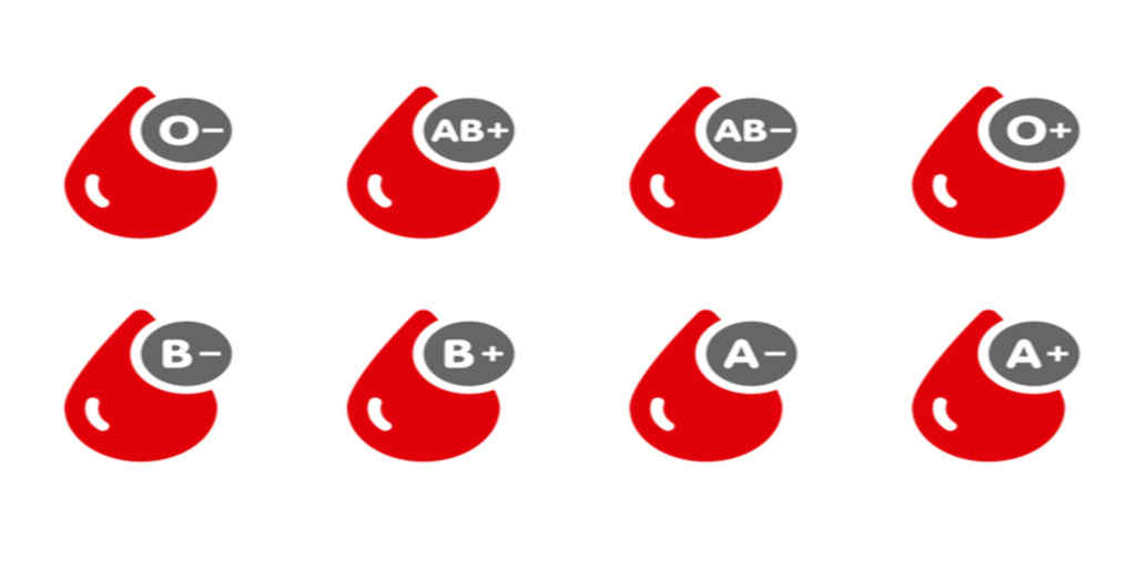 ThyrocareBeguru's tweet image. Know your blood group and stay informed about your health! bloodtestnearme.in offers blood group testing at affordable prices. Book a test today and get your results quickly. #BloodTestNearMe #BloodGroupTesting #StayInformed #AffordableTesting #HealthyLiving