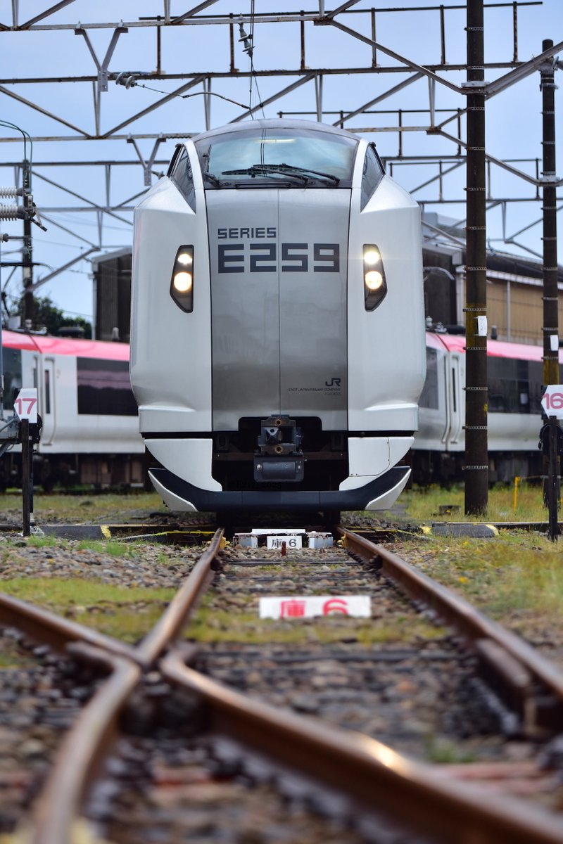 2025_Jo_'s tweet photo. 2023/05/13
「E259系成田エクスプレス　リニューアル撮影会」第2部
NEXだけの撮影会は初めてだと思います
生憎の雨模様でしたが思う存分楽しむことできました https://t.co/GIYXoF9k6H