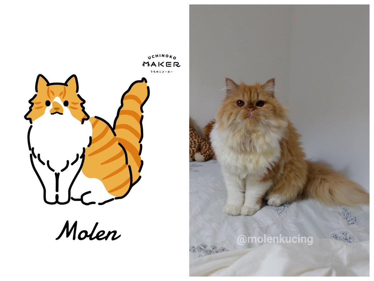 kochengfs's tweet photo. 🐈 Guys cobain cat illustration generator ini yuk! Drop di sini hasilnya yaa😚nanti aku spill link nya di rep https://t.co/jp3U0MfPkR