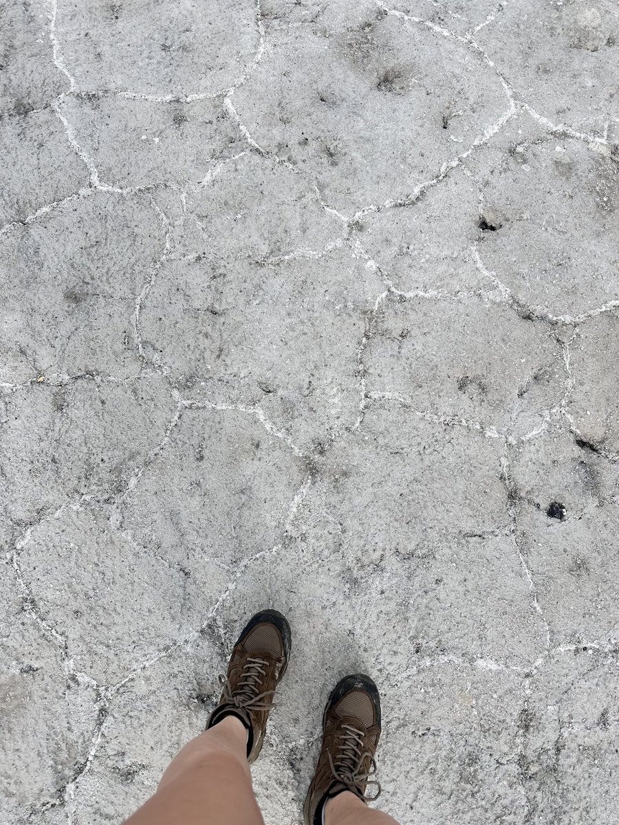 AshlynnCanode's tweet photo. salty #Utah https://t.co/XyWztzhA6j