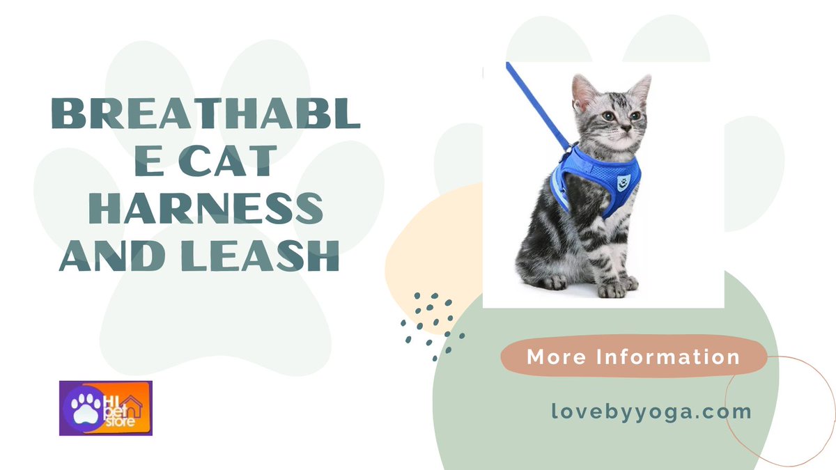Breathable Cat Harness and Leash

hipetstore.com/product/breath…

#dog #dogs #pet #pets #cat #cats #dogstore #catstore #petstore #dogtips #cattips #pettips #doglover #petlover #catlover #puppy