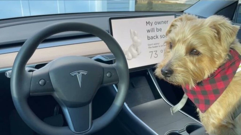 Autocosmos's tweet photo. #CarGurus en conjunto con la Universidad de Lincoln, Reino Unido 🤓 realizaron un estudio en el que básicamente se llega a la conclusión de que los autos eléctricos, son mucho más amigables con nuestras mascotas 👏 conoce los detalles 👉 https://t.co/c8Yjkhc5cg https://t.co/4ivy80Ri2S