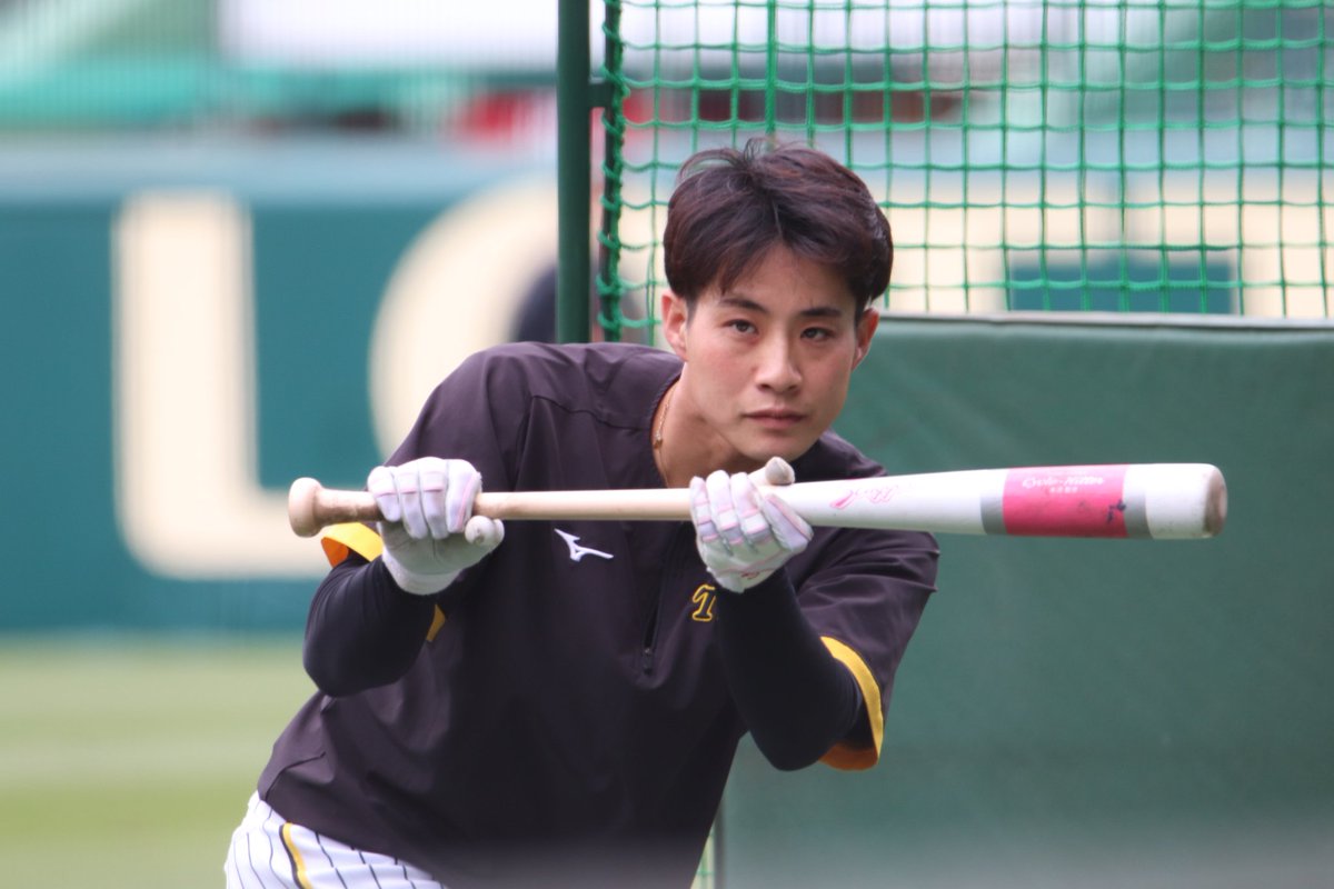 230513🐯TORACO練習見学
#阪神タイガース #木浪聖也