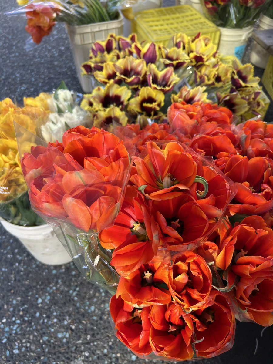 A beautiful afternoon in Vancouver with a team of smart women. Bucket-filling for sure. <a href="/SD27_CC/">School District No. 27</a> #noiie2023 <a href="/eh_caitlin/">Caitlin Currie</a> <a href="/hdarney1/">@hdarney</a> @DeniseVanDalen <a href="/alinacameron02/">ac</a>