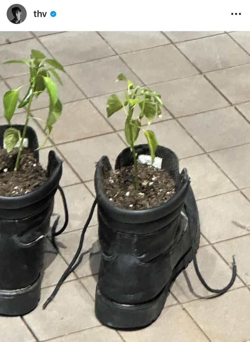 the. the same plant boots… 😭🧎🏽‍♀️