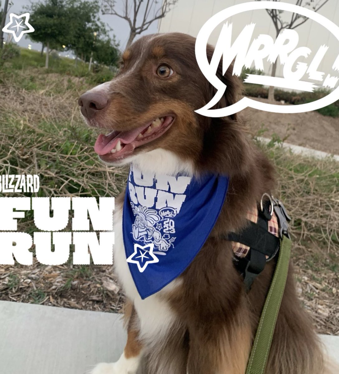 Teawee_'s tweet photo. Penny made it!! ๐ #blizzardfunrun #blizzlife https://t.co/mHPUfHa8i4