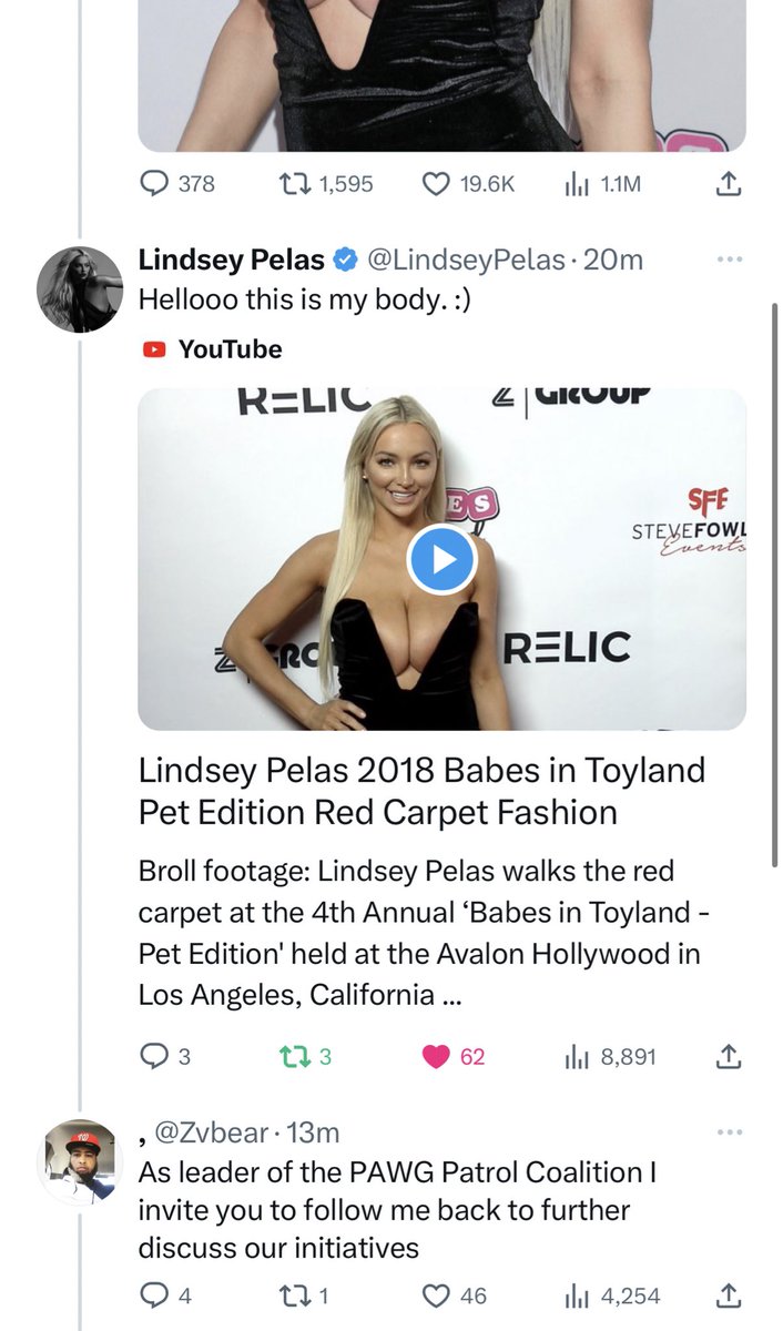 , tweet media