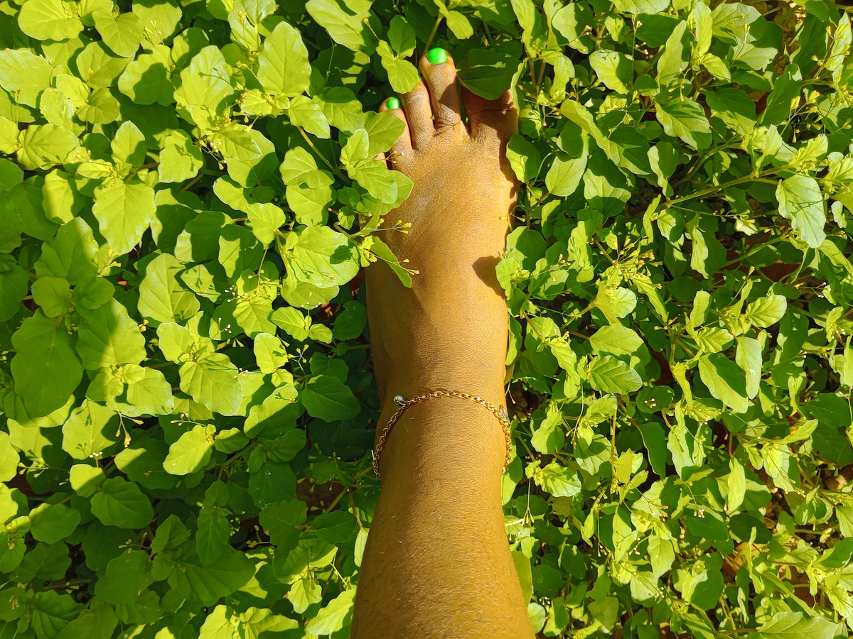 BBoxSurprise's tweet photo. Ready para el nuevo álbum!!!
Green green green 💚💚💚!!!
.
.
Telegram:/t.me/blackboxsurprise.
.
.
#feet #feetfethish #feetfinder #feetfetiche #feetcontent #feetpicsforsales #FeetPictures #feetseller #feet_pic #feetpic #feetfam #feetworshi̇p #feet_pic #feet #feets #feetworshi̇p https://t.co/gAGX3a3o9u
