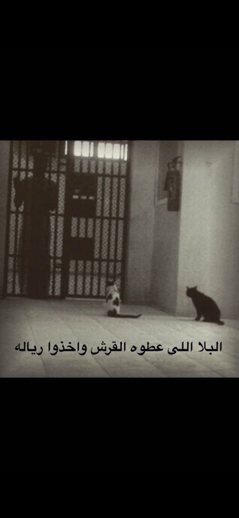 #فضفضه البلى اللي عطوه القرش واخذوا رياله ..!