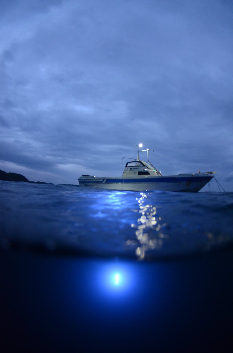 dive_kroon's tweet image. 大田市シーワークでボートナイトしてきましたー