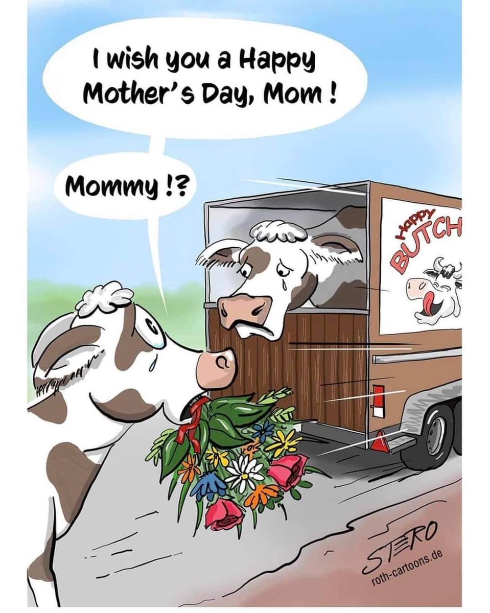 There is no happy mothers day for the billions of farmed animals. We have all been lied to, there is no humane slaughter. Animal mothers love their babies just the same as human mothers. Cows milk is for baby cows not humans. Stop believing the lies, go #vegan 🌱