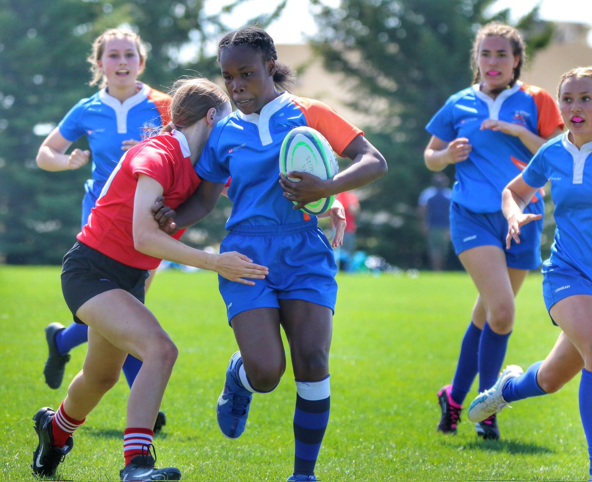 Jace Forsyth tweet media