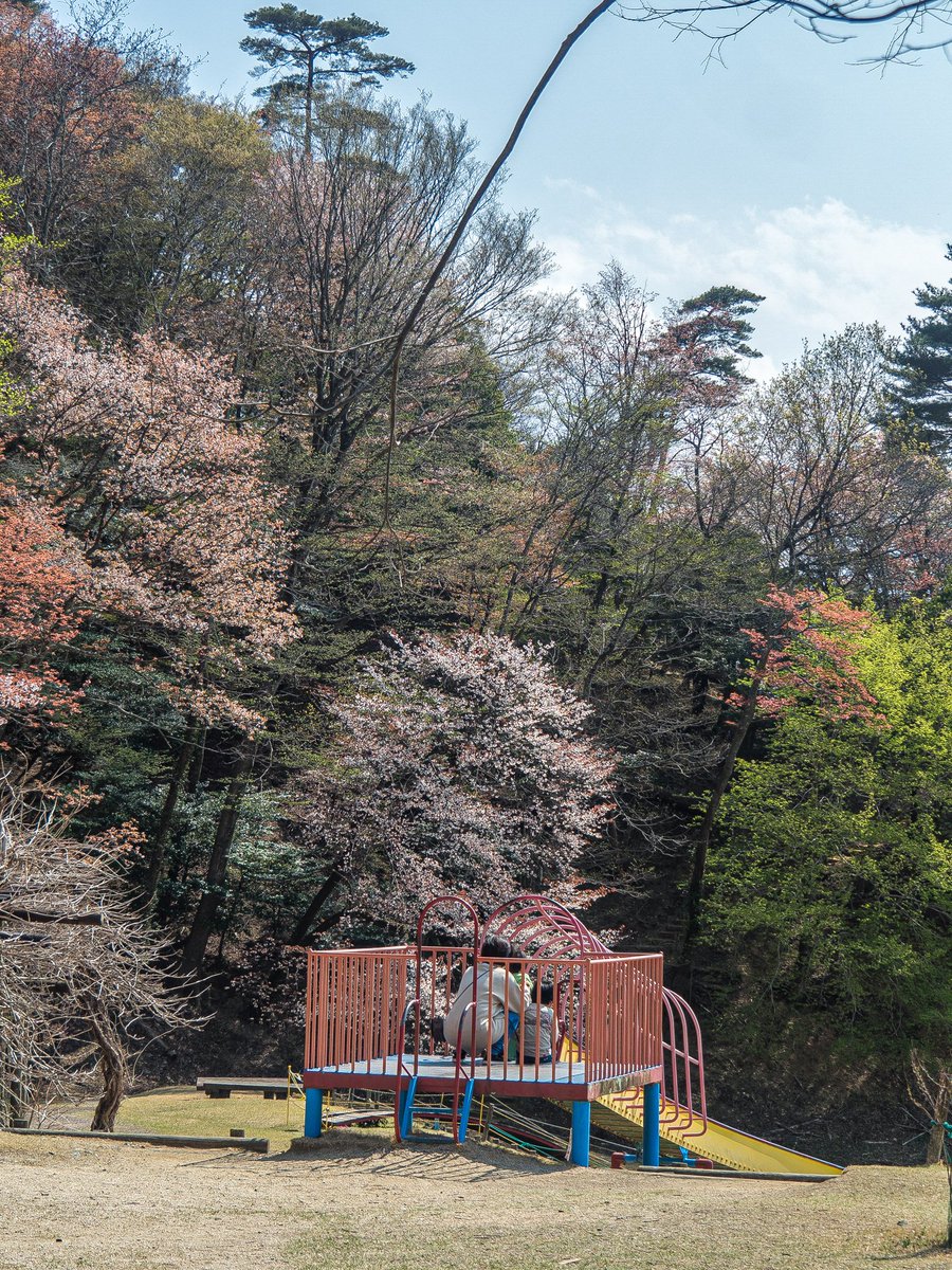 ゆうかの里から⁡
⁡ブラブラ走って
⁡｢#神山森林公園 　#イルローザの森｣に到着､どんなとこかと散歩したら⁡⁡広くて桜も咲いていい所✨⁡
⁡
⁡2022年4月9日(土)

#徳島 #過去pic
#フォト散歩 
#キリトリセカイ 
⁡#カメラ好きと繋がりたい
⁡#写真好きな人と繋がりたい