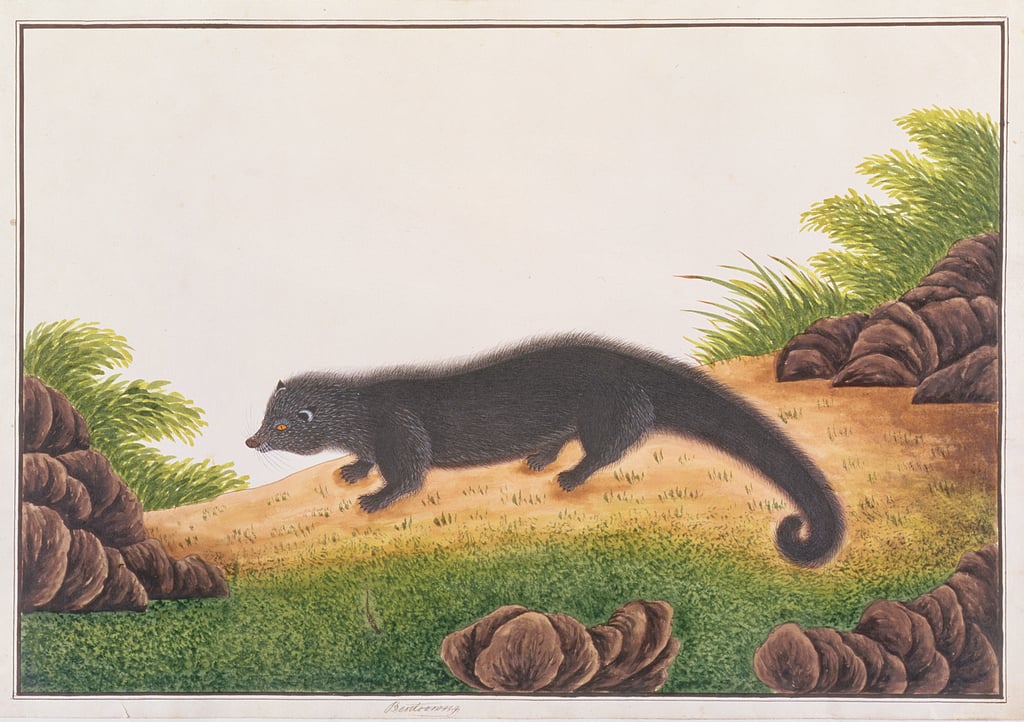Art History Animalia on Twitter: