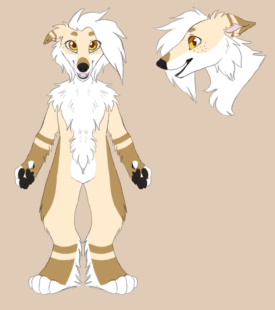 chaoticisdrawin's tweet photo. Coming back to this borzoi I started drawing a few months ago https://t.co/UZhsK9UmTz