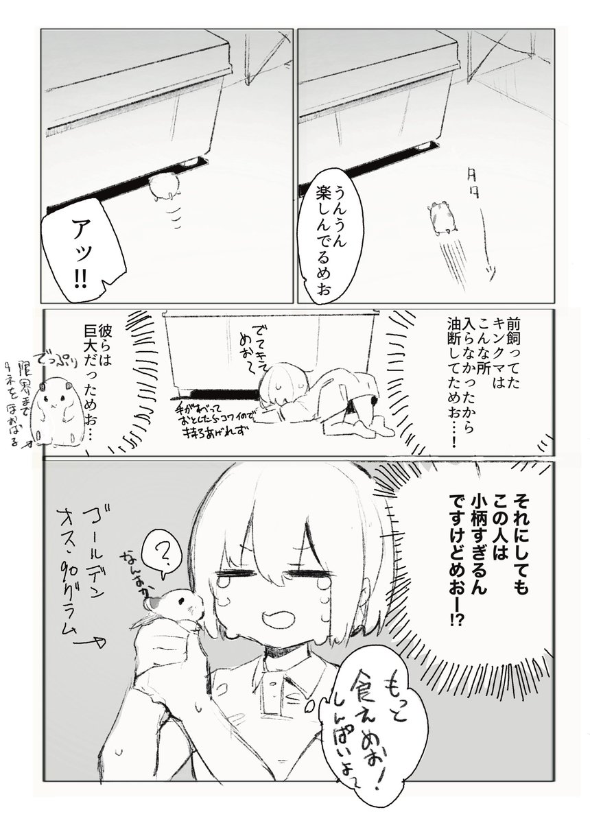 めおめお日記漫画 親心 #めおめお