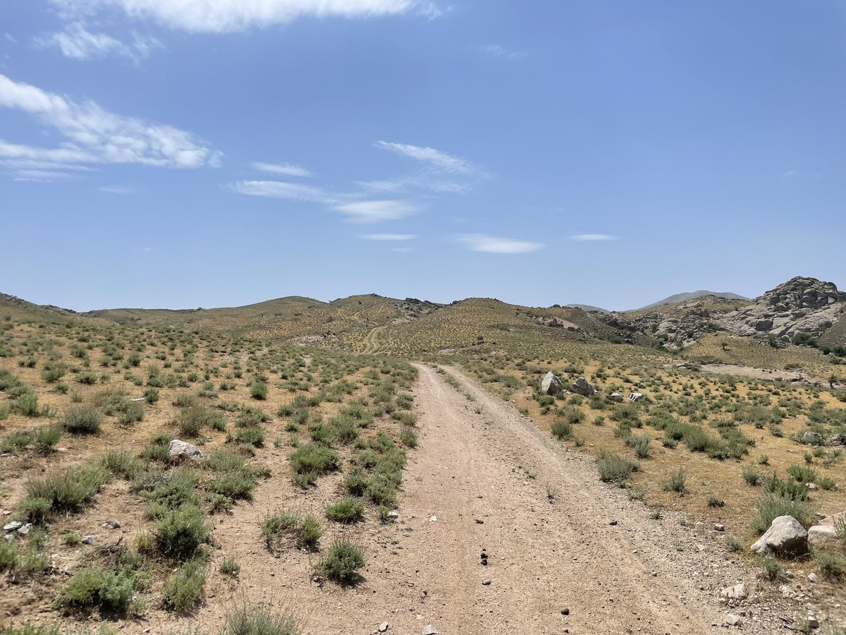 Jeremy Whish tweet media