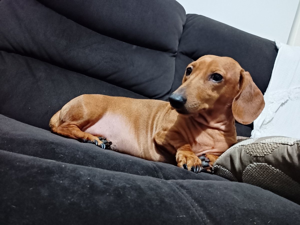 Matt Halse tweet media