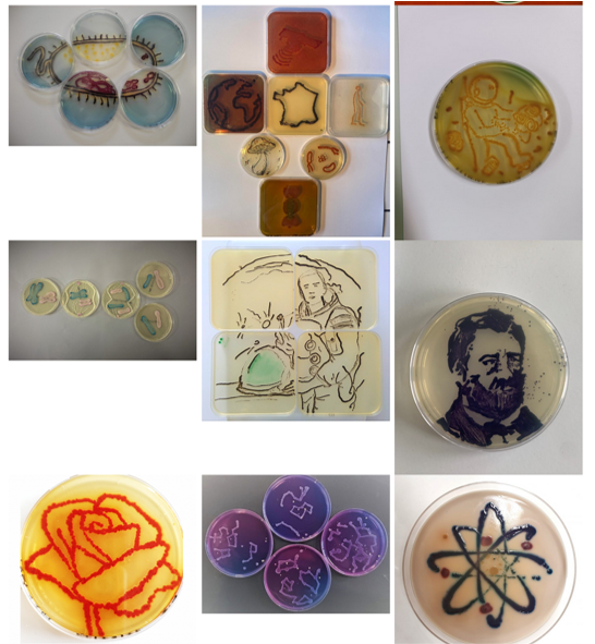 Votez pour le #concours national #agarart !! 😊😍👍 #Biotechnologies #STL #création #oeuvre #éphémère #unique #bactérie