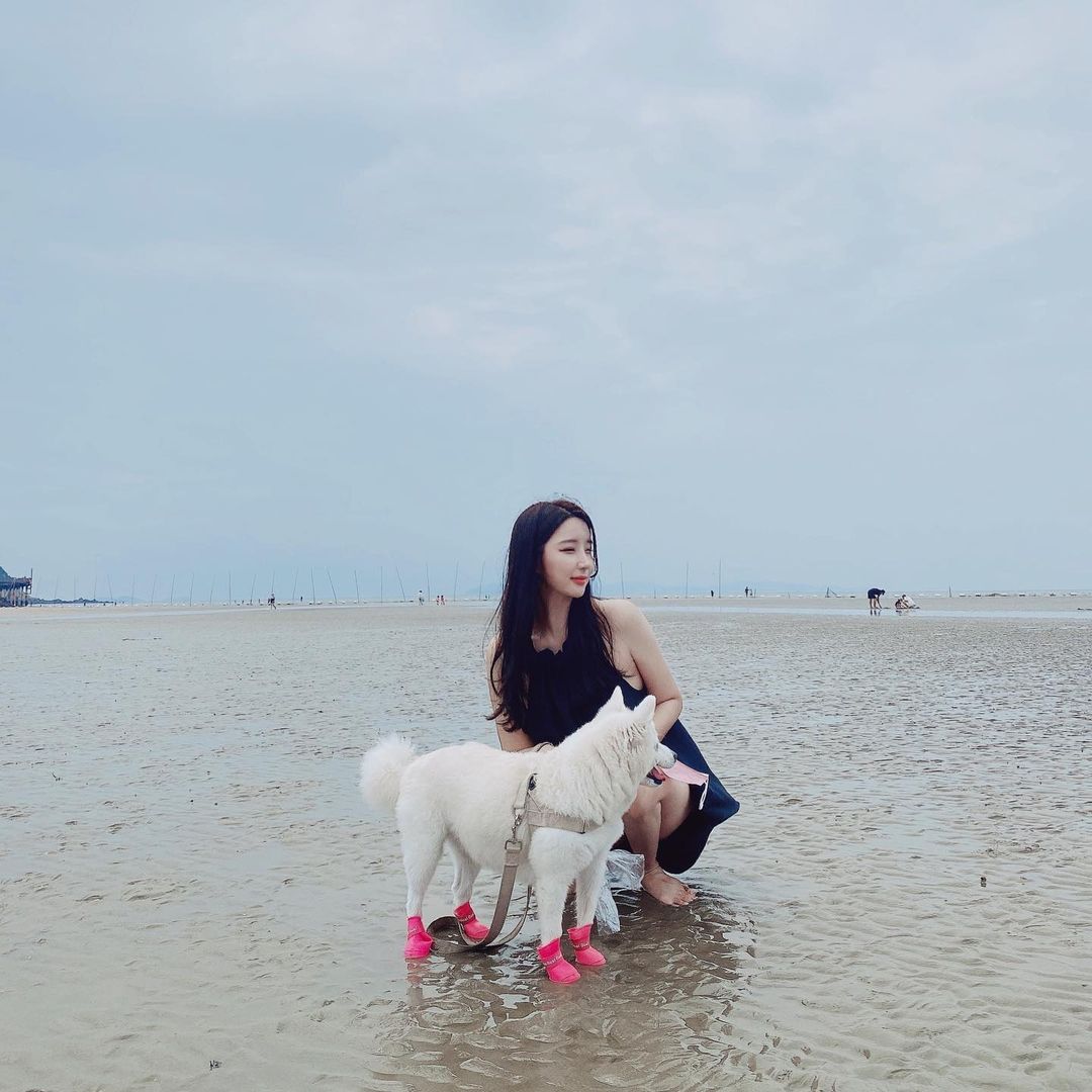 Want to say some lovely nonsense with you in the evening breeze number stars know the moon also come to listen