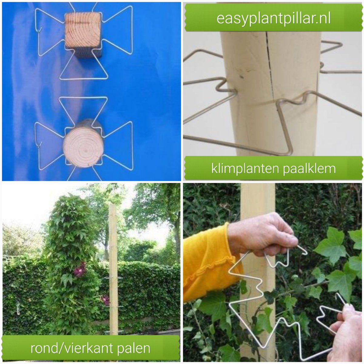 Groen_Amsterdam's tweet photo. TOP IDEE ! https://t.co/03jb3pETcF KLIMPLANTEN LANGS PALEN #overkapping #tuinoverkapping #tuinpalen #staanders #terras #tuinterras #veranda #aanbouw #serre #palen #houtenpaal #balkhout #balk #balken #tuinidee #klimplant #klimplanten #clematis #jasmijn #innovatief #tuinieren #tuin https://t.co/ejttTBxank