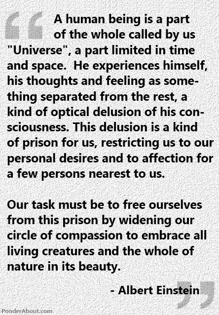 What Albert Einstein wrote in February 1950 is possibly another of the great equations he devised. This one's possibly about the survival of humankind. 

[read more: buff.ly/2DqXURs]