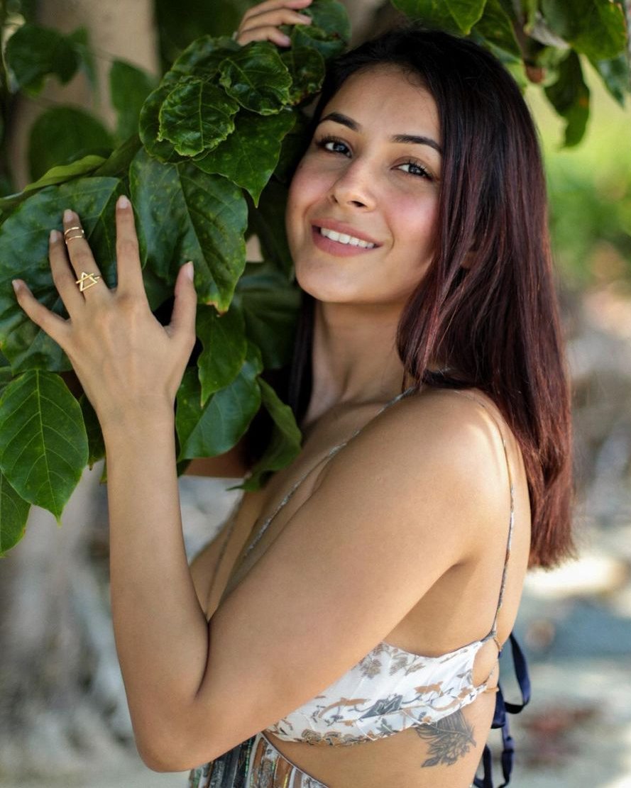 If " Kudrat ne banaya hoga fursat se tujhe mere yaar " line needs a modern picture 👇
#ShehnaazGill <a href="/ishehnaaz_gill/">Shehnaaz Gill</a>